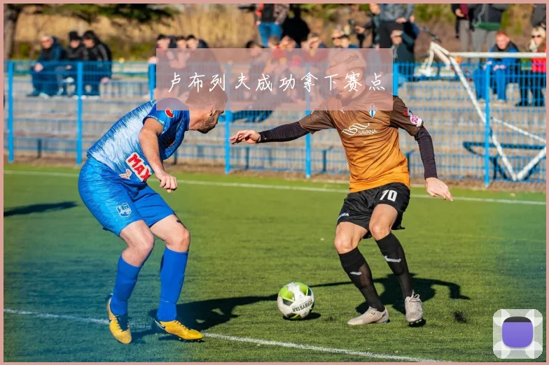 卢布列夫成功拿下赛点