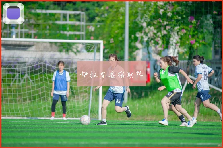 伊拉克名宿助阵