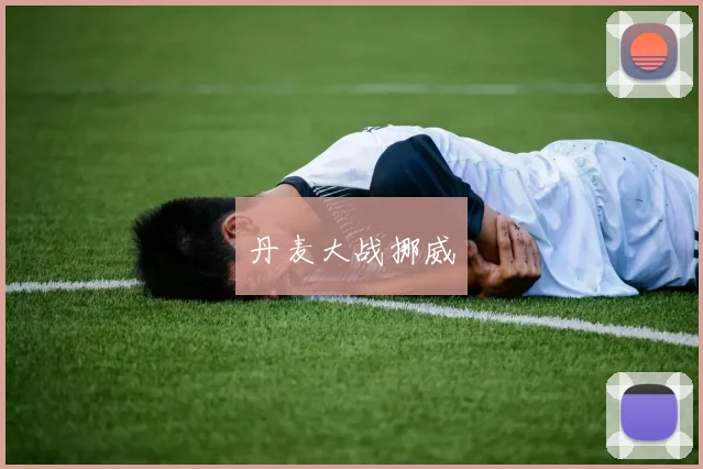丹麦大战挪威