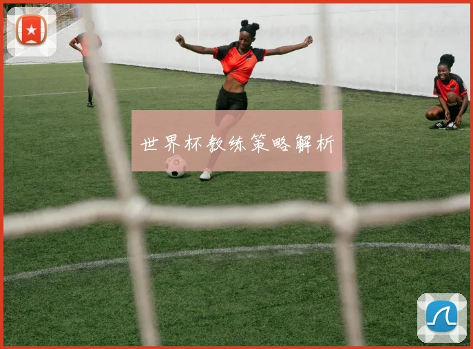 世界杯教练策略解析