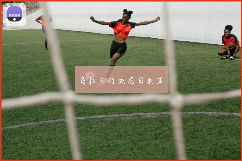 乌拉圭对决尼日利亚